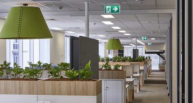 workplace with biophilic design principles