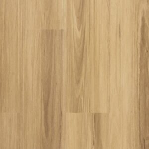 Scenic - Alford Blackbutt