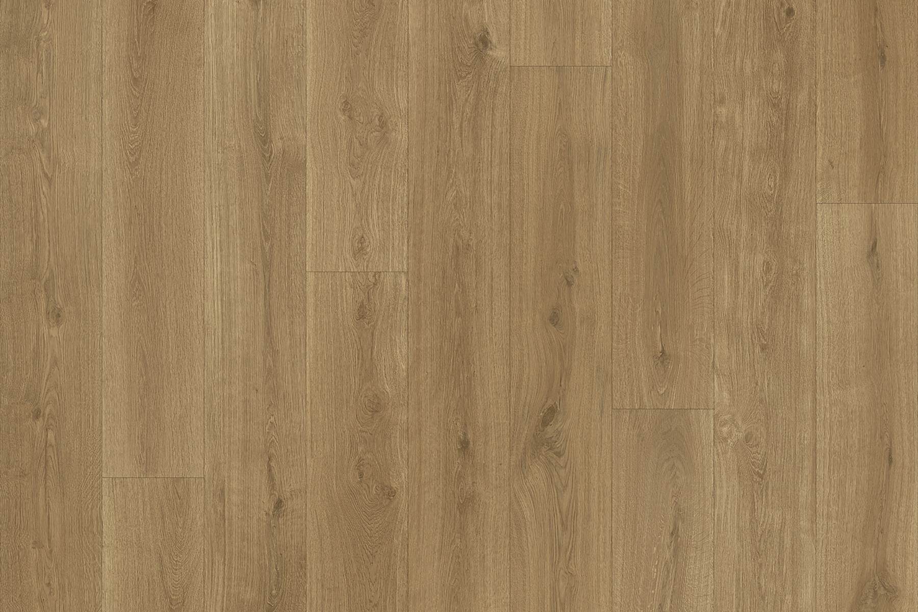 Savannah - Algerian Oak 664M