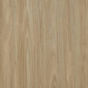 Panorama - Banksia Blackbutt