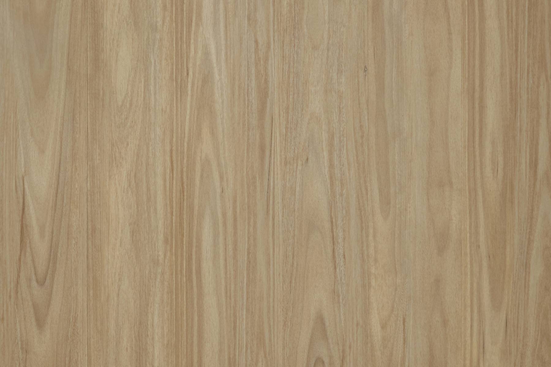 Purity - Banksia Blackbutt