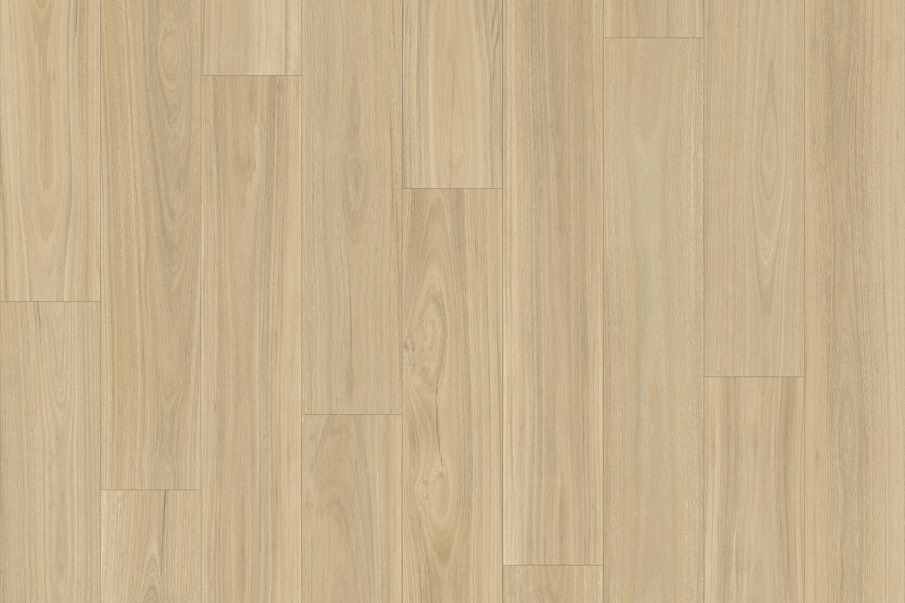 Savannah - Blackbutt 167M