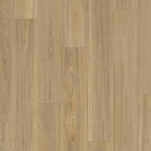 Savannah - Blackbutt 607M