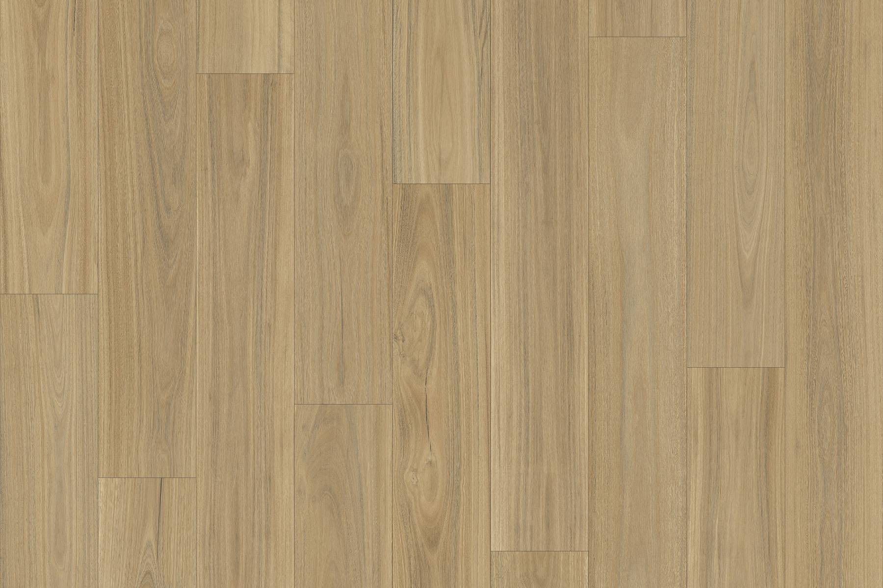 Savannah - Blackbutt 607M