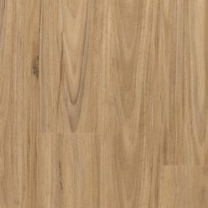 Scenic - Boonah Blackbutt