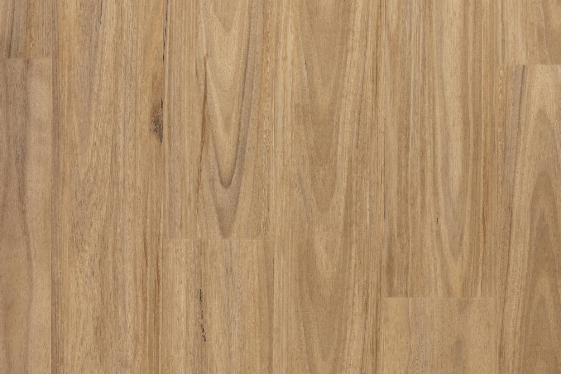 Scenic - Boonah Blackbutt