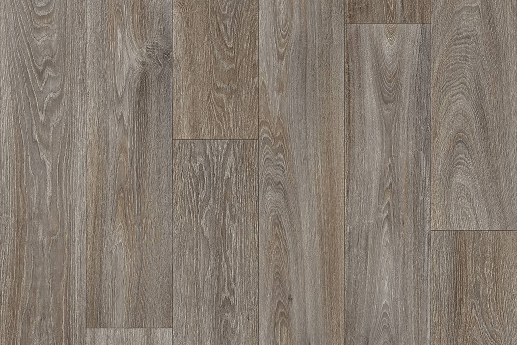 Tanami - Bur Oak 769