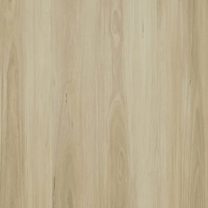 Panorama - Burgundy Blackbutt