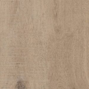 Forest View - Cedar Glade