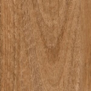 Forest View - Conifer Pass