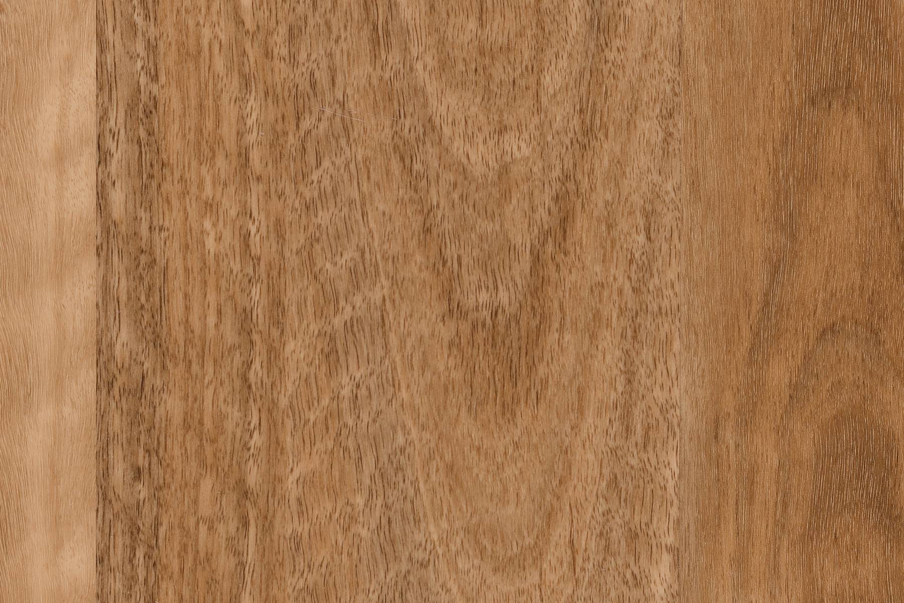 Forest View - Conifer Pass