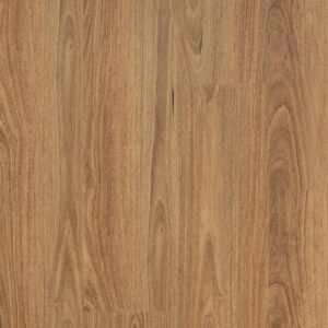 Scenic - Harrisville Spotted Gum