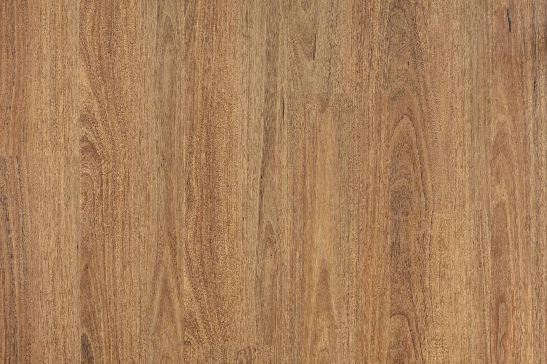 Scenic - Darlington Spotted Gum