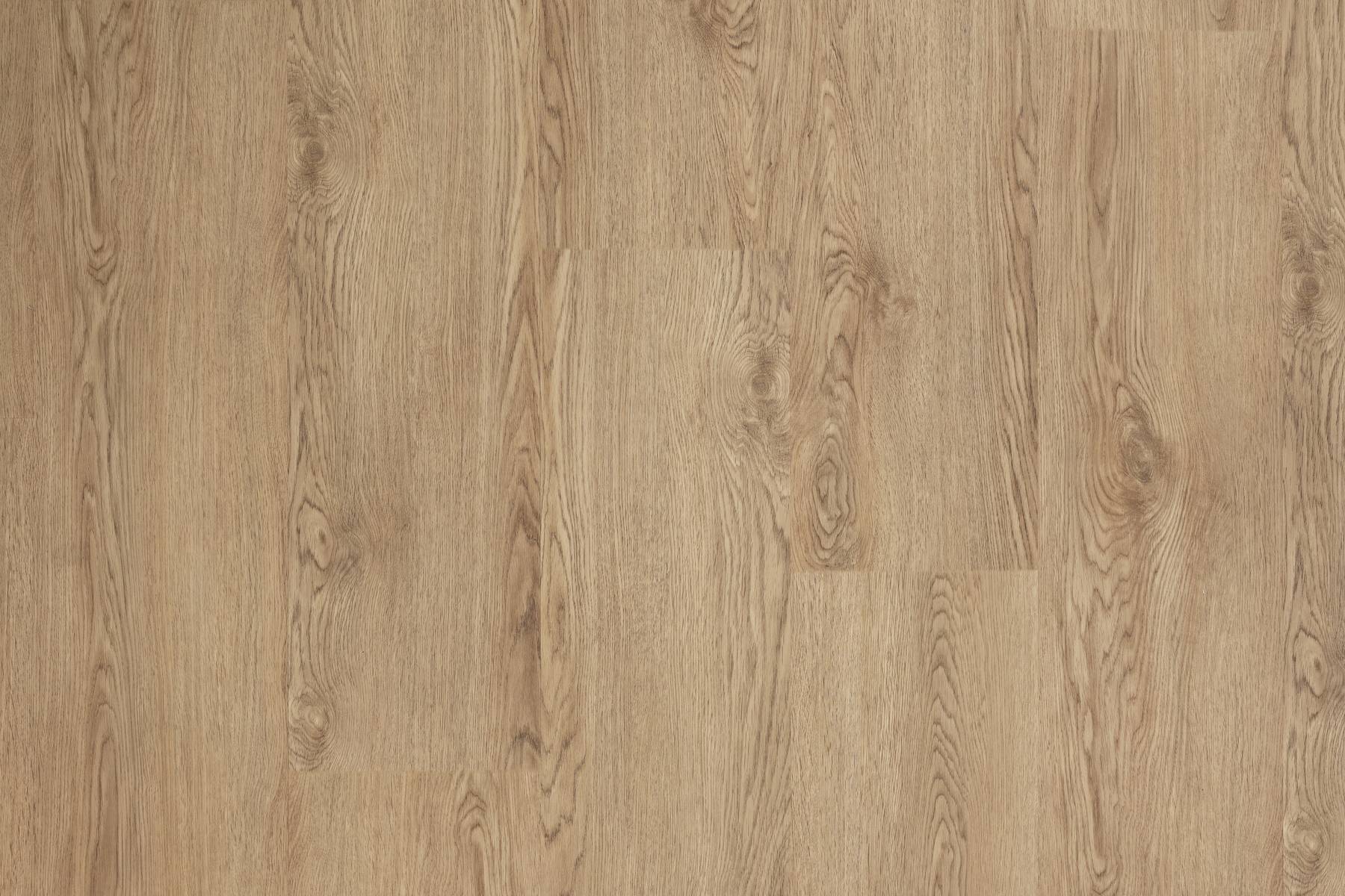 Scenic - Elabana Oak