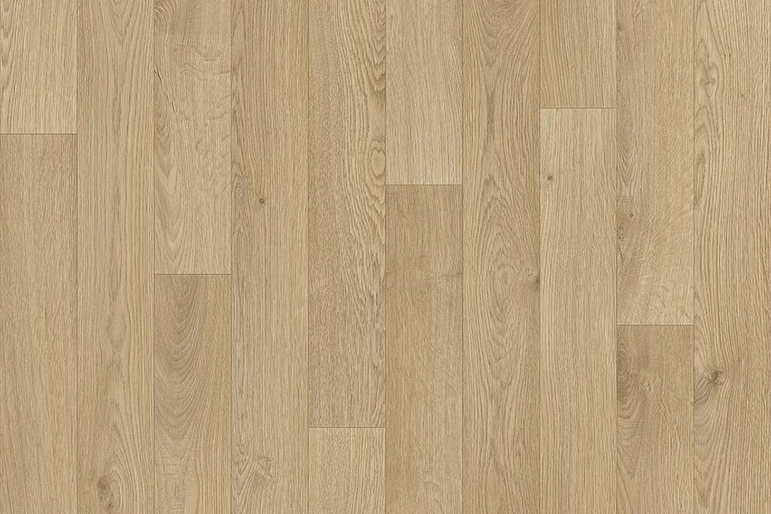 Caravan - Falco 131M