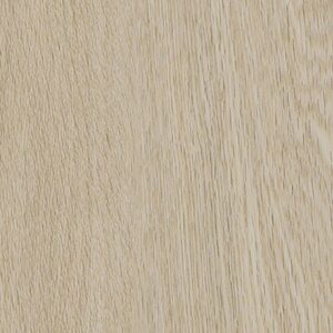 Forest View - Fern Trail