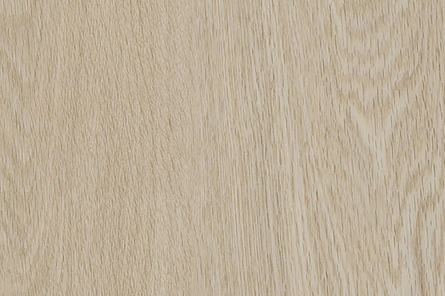 Forest View - Fern Trail