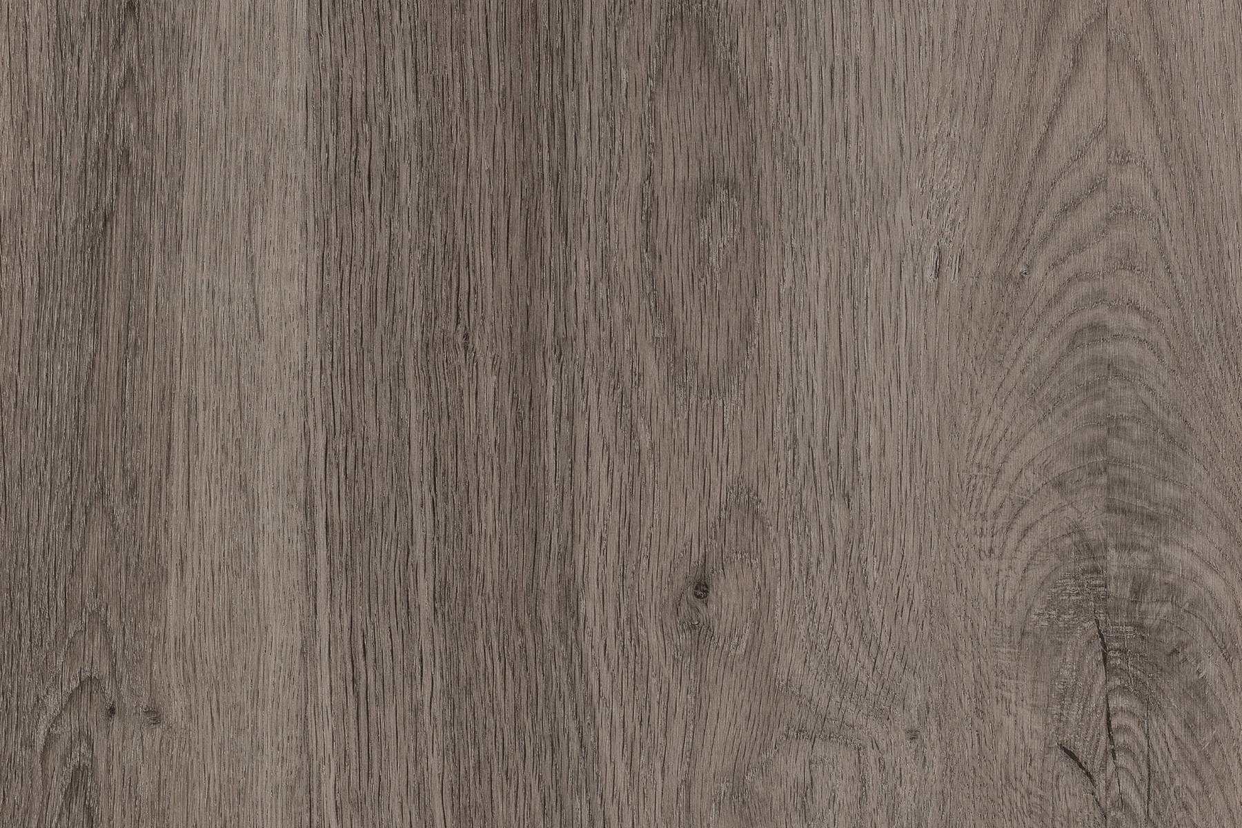 Zenith - Glenmore Oak