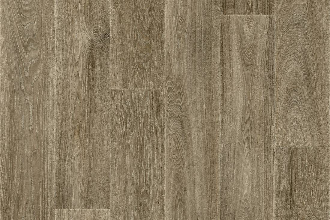 Caravan - Havanna Oak 689D