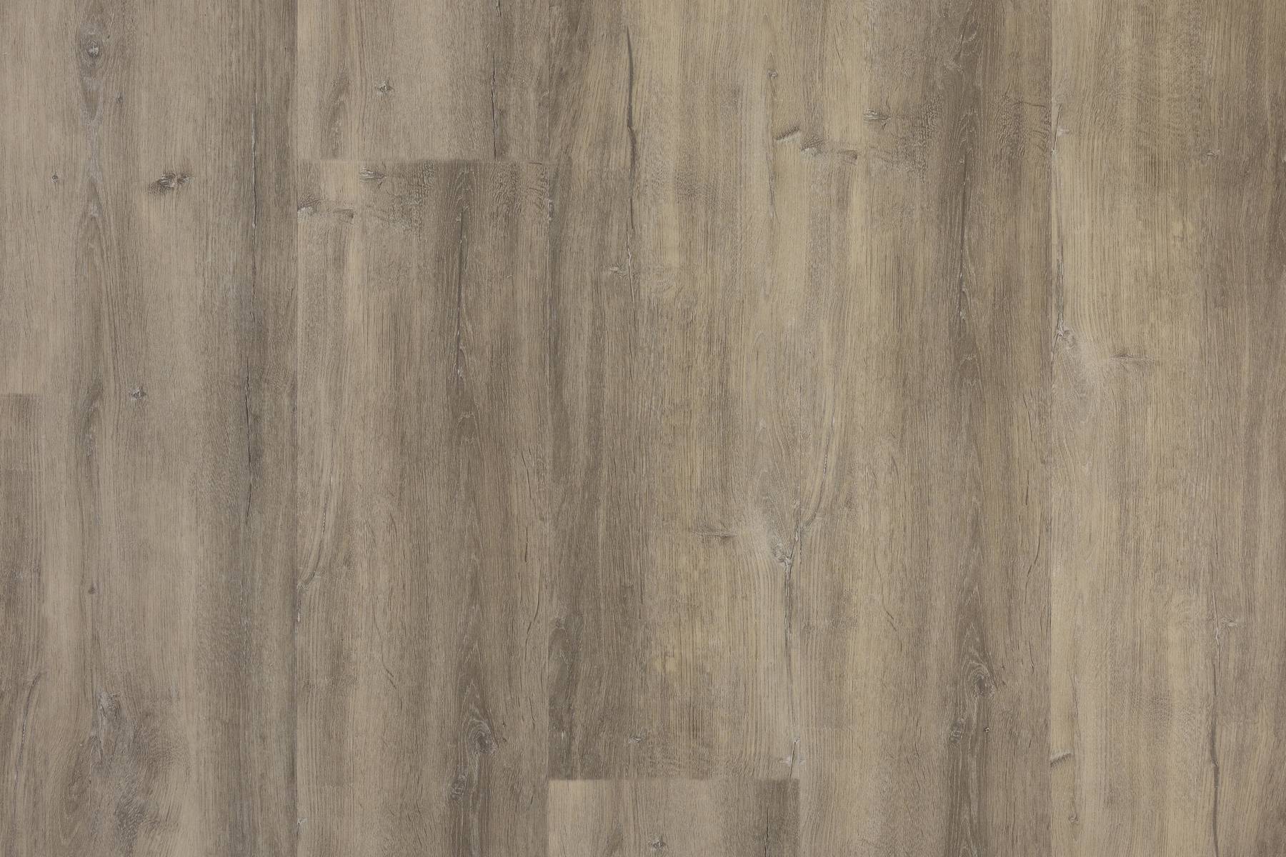 Scenic - Karoomba Oak