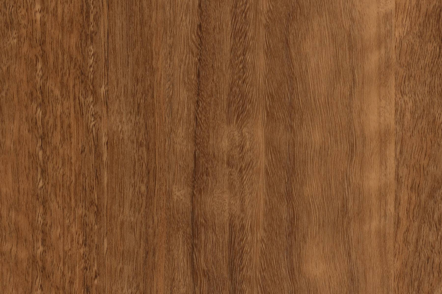 Zenith - Kilkenny Spotted Gum