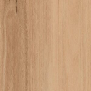 Forest View - Lake Crescent