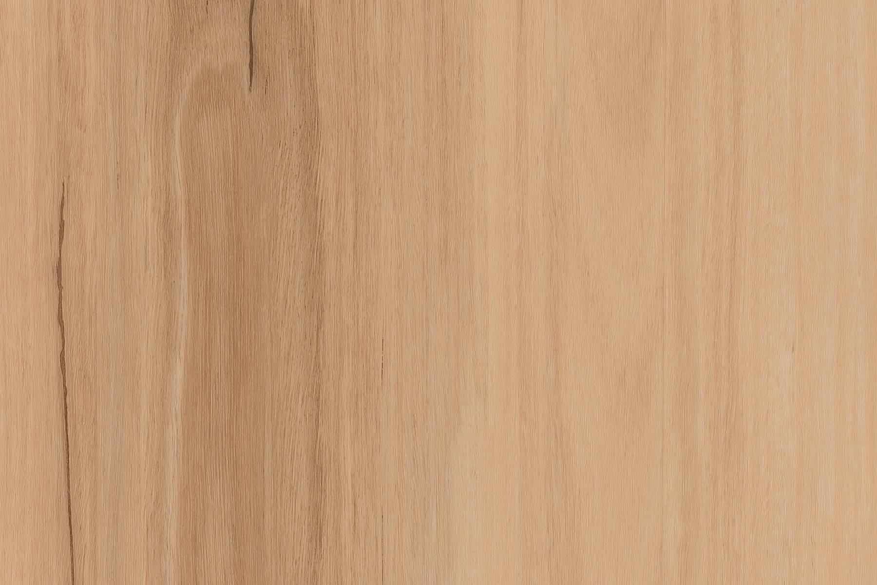 Forest View - Lake Crescent