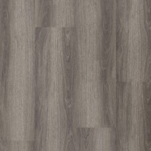 Scenic - Lamington Oak