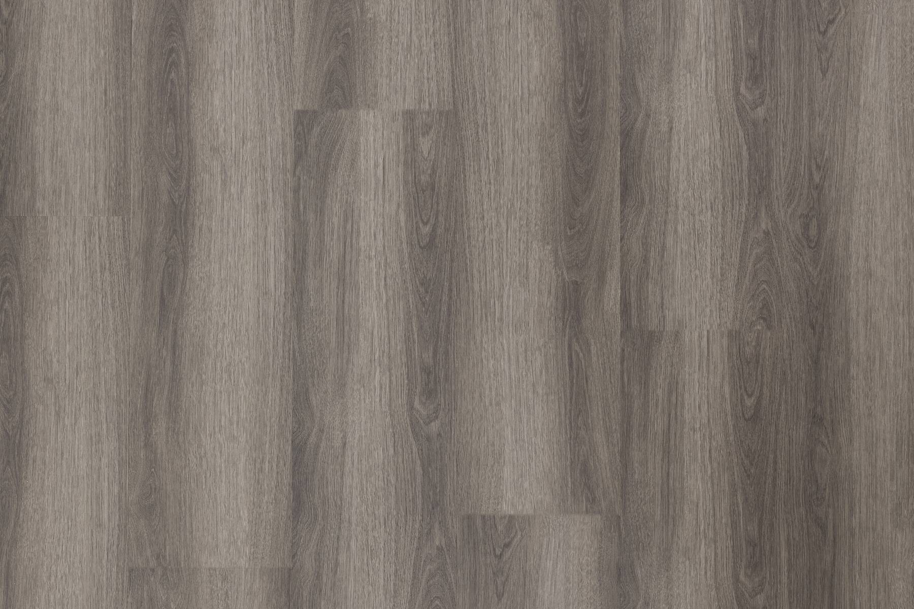 Scenic - Lamington Oak