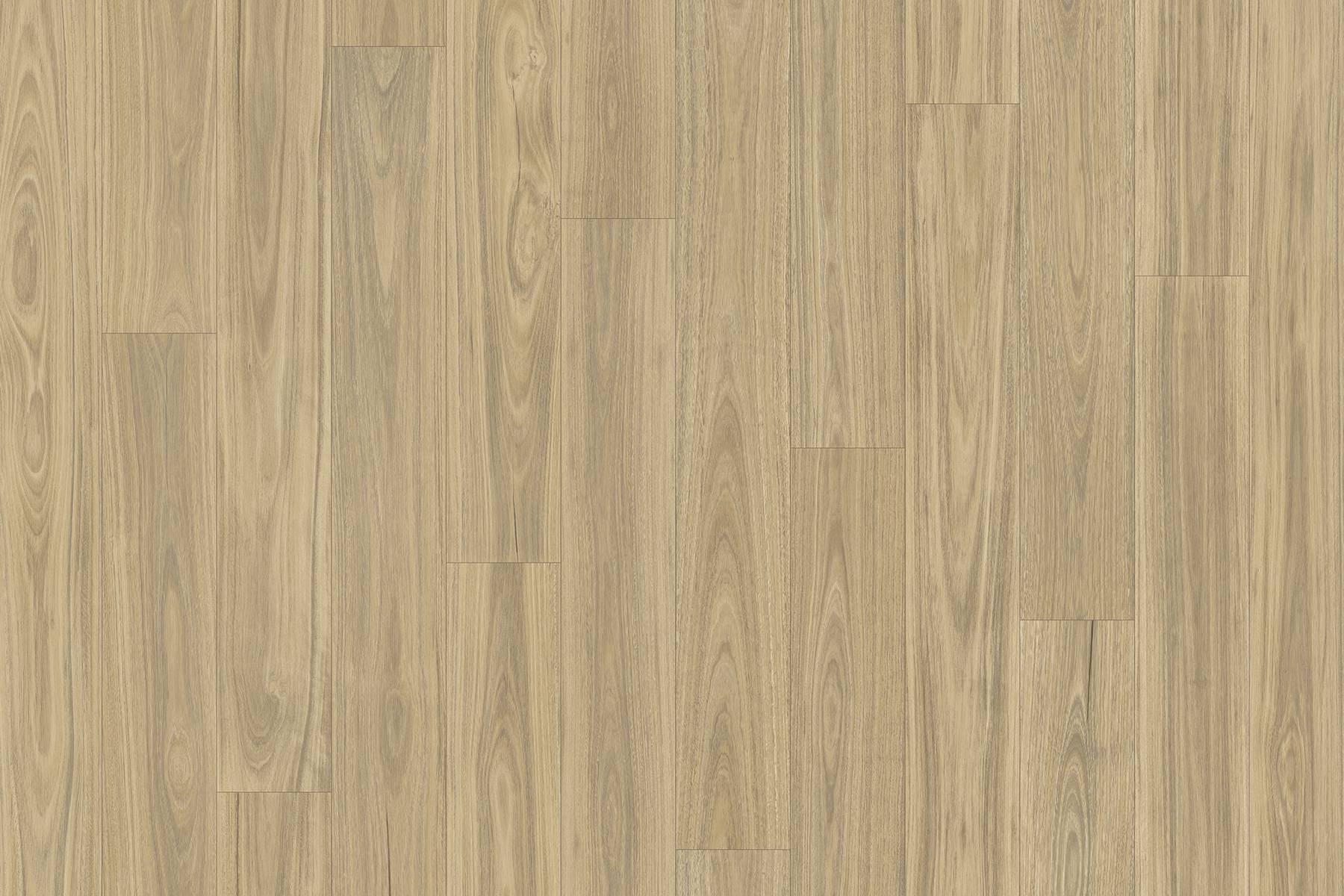 Kalahari - Lismore 128M