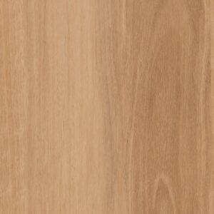 Forest View - Maple Meadow