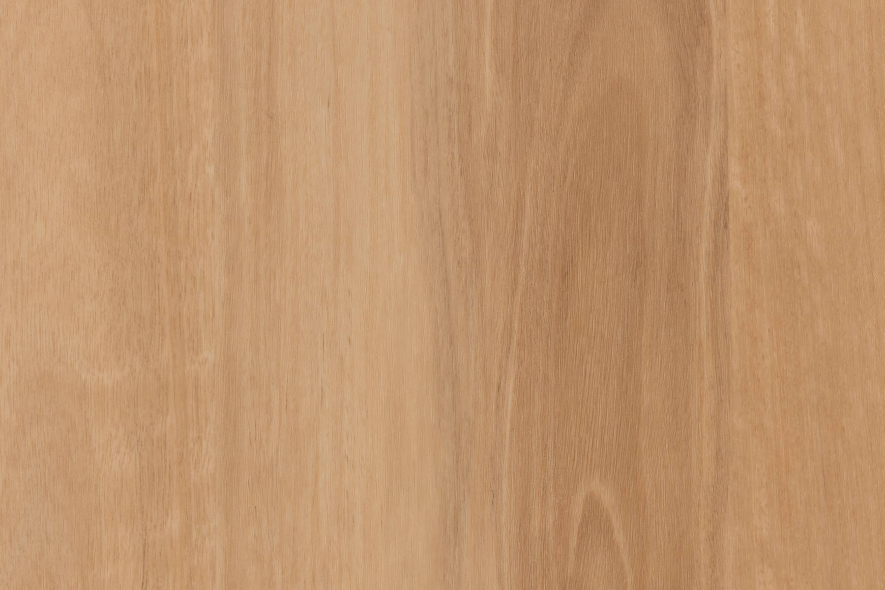 Forest View - Maple Meadow