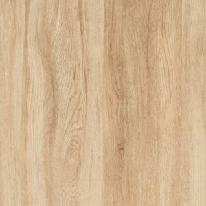 Forest View - Moss Grove