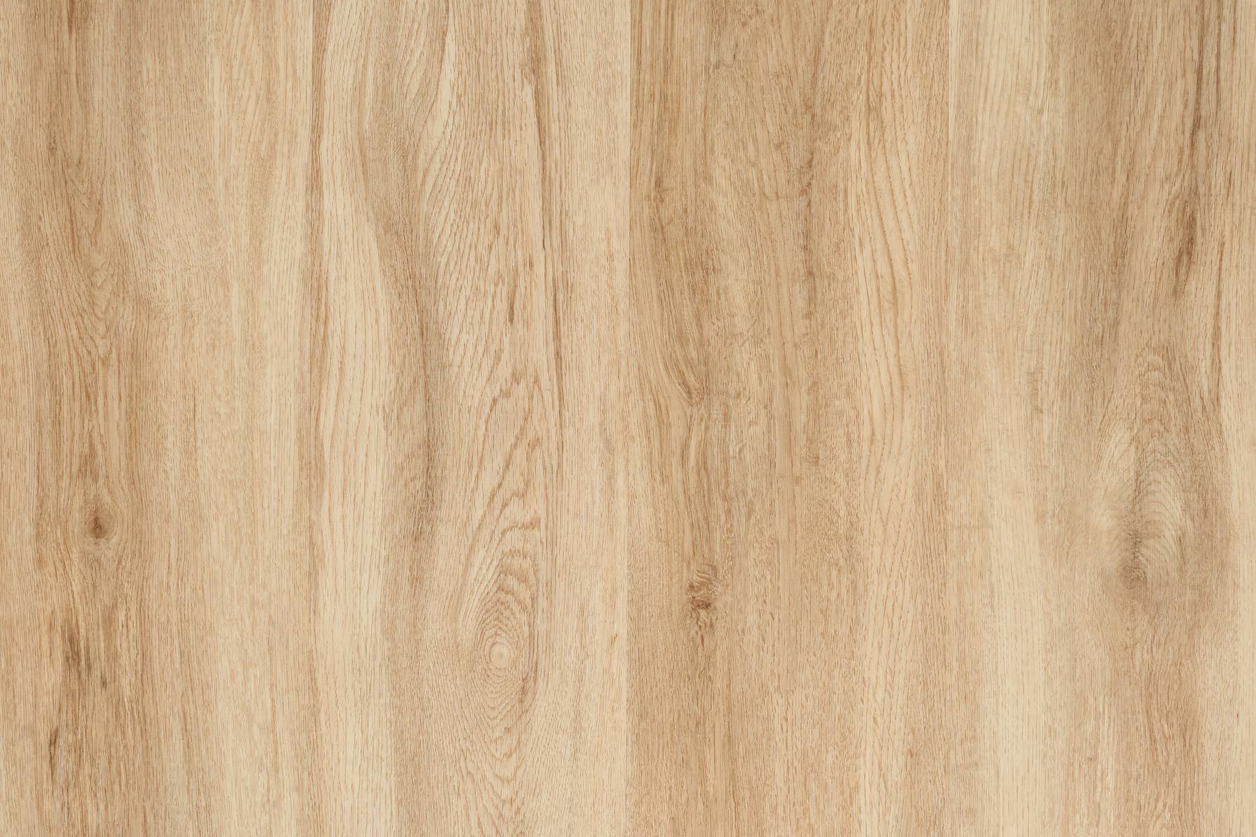 Forest View - Moss Grove