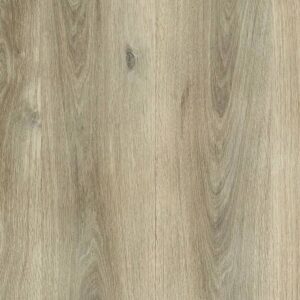 Forest View - River Bend