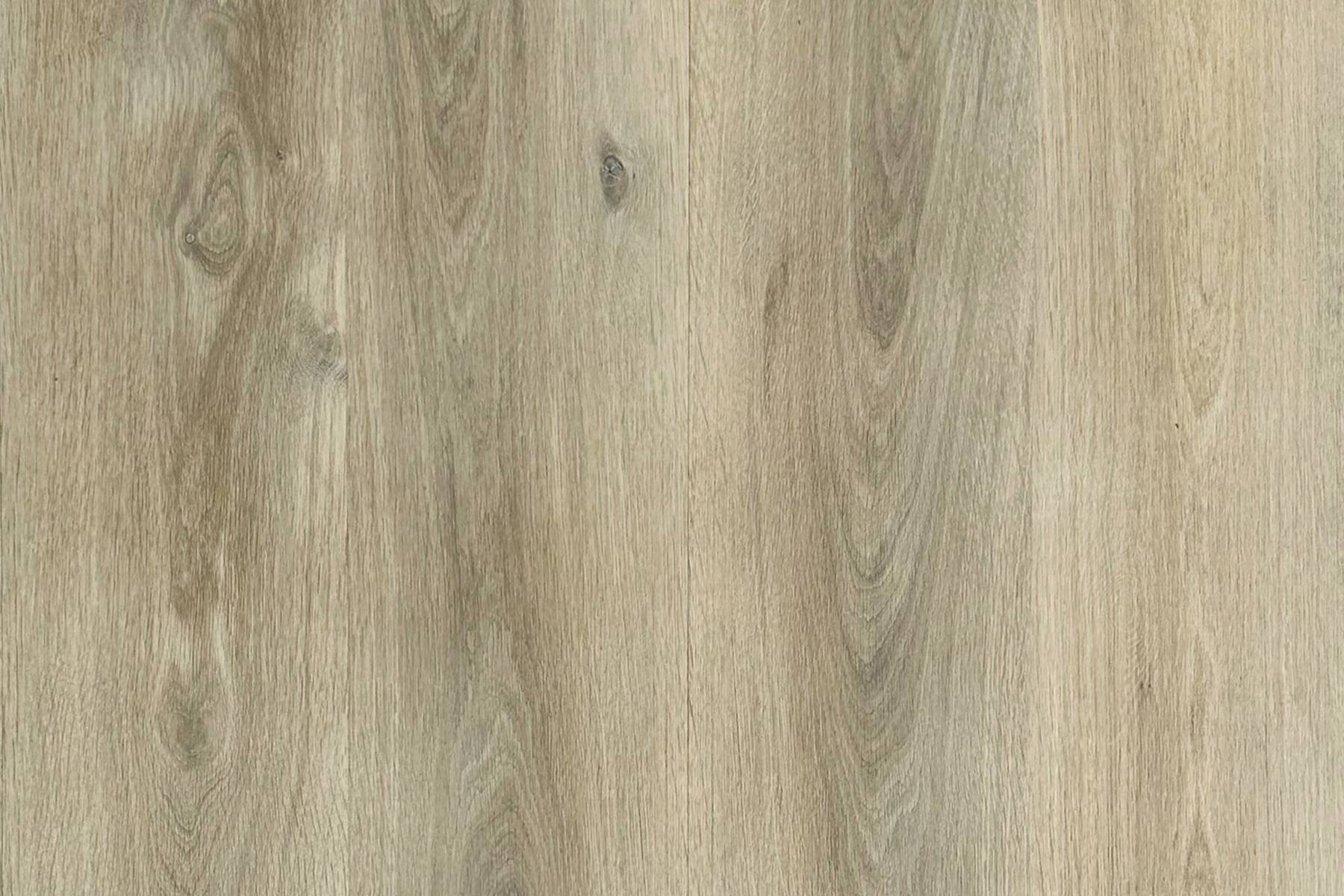 Forest View - River Bend