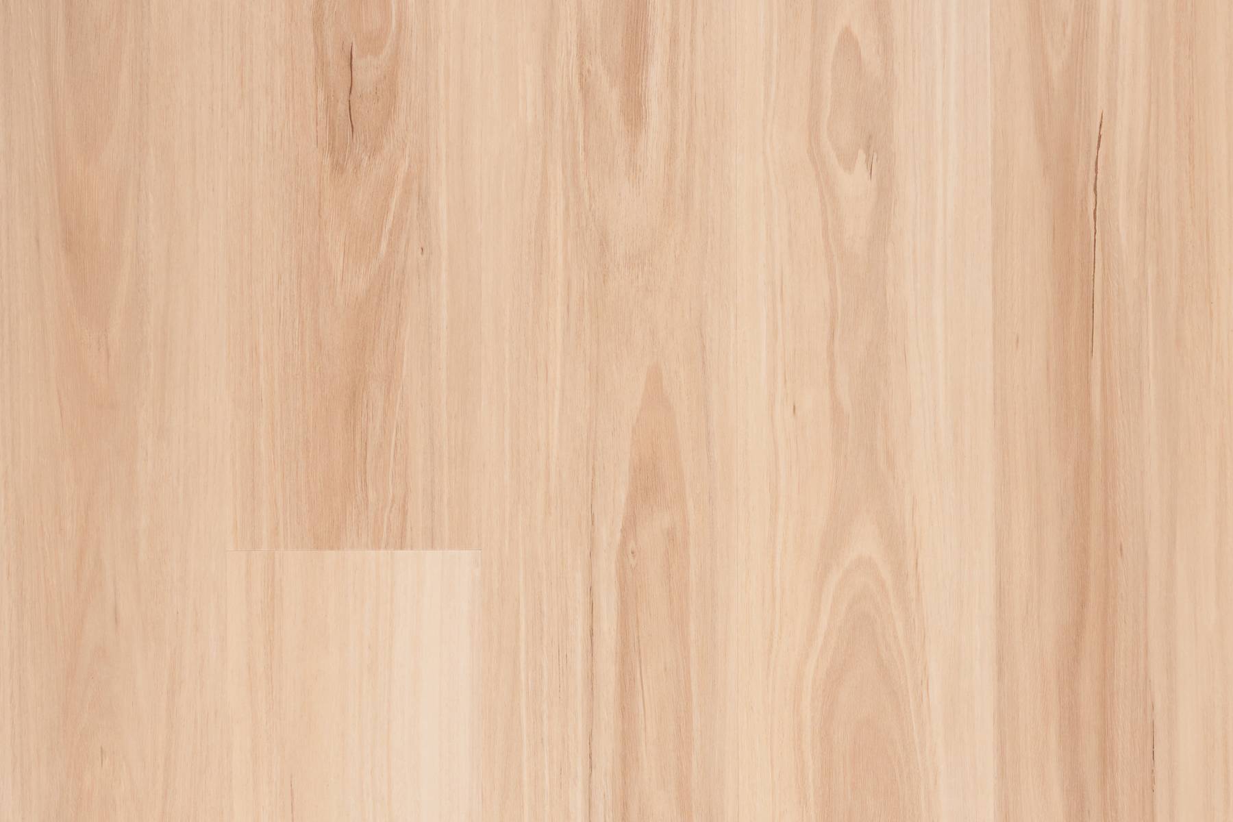 Glades - Serisa Blackbutt