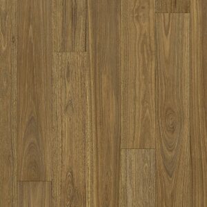 Tanami - Spotted Gum