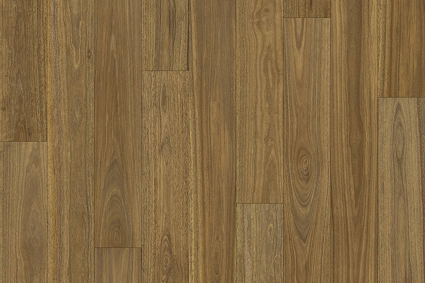 Tanami - Spotted Gum