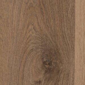 Forest View - Spruce Creek