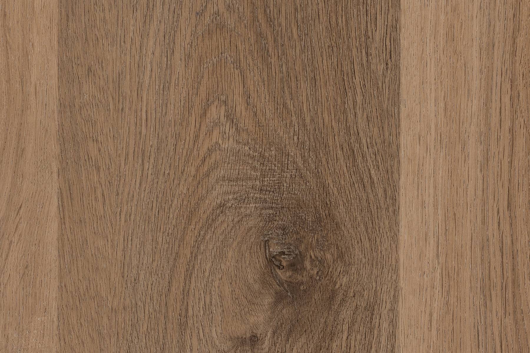 Forest View - Spruce Creek