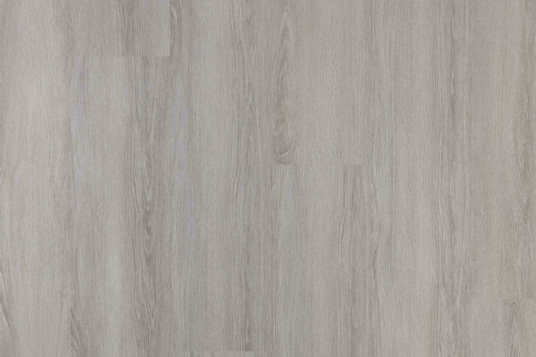 Scenic - Tamborine Oak