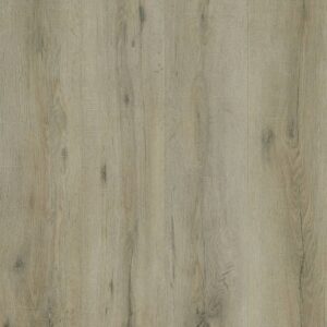 Panorama - Warringal Oak