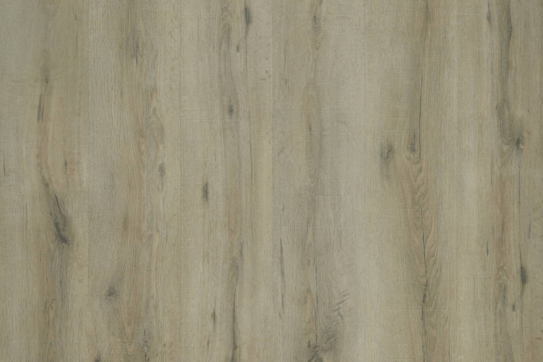 Panorama - Warringal Oak