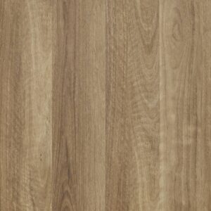 Panorama - Yarra Spotted Gum