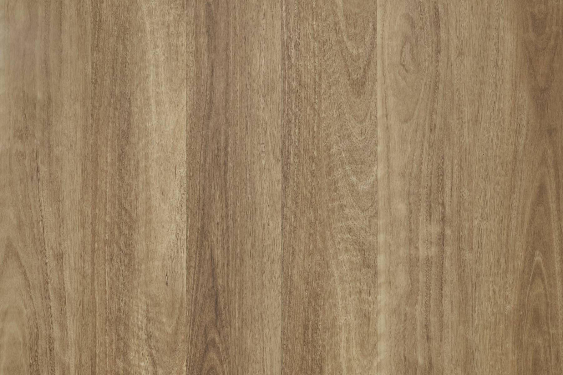 Purity - Yarra Spotted Gum