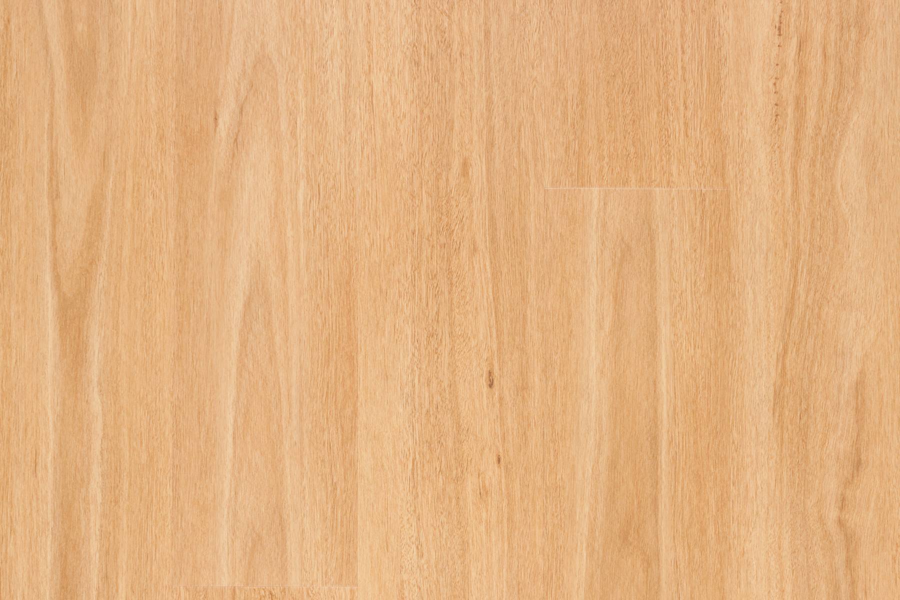 Glades - Yoshino Spotted Gum