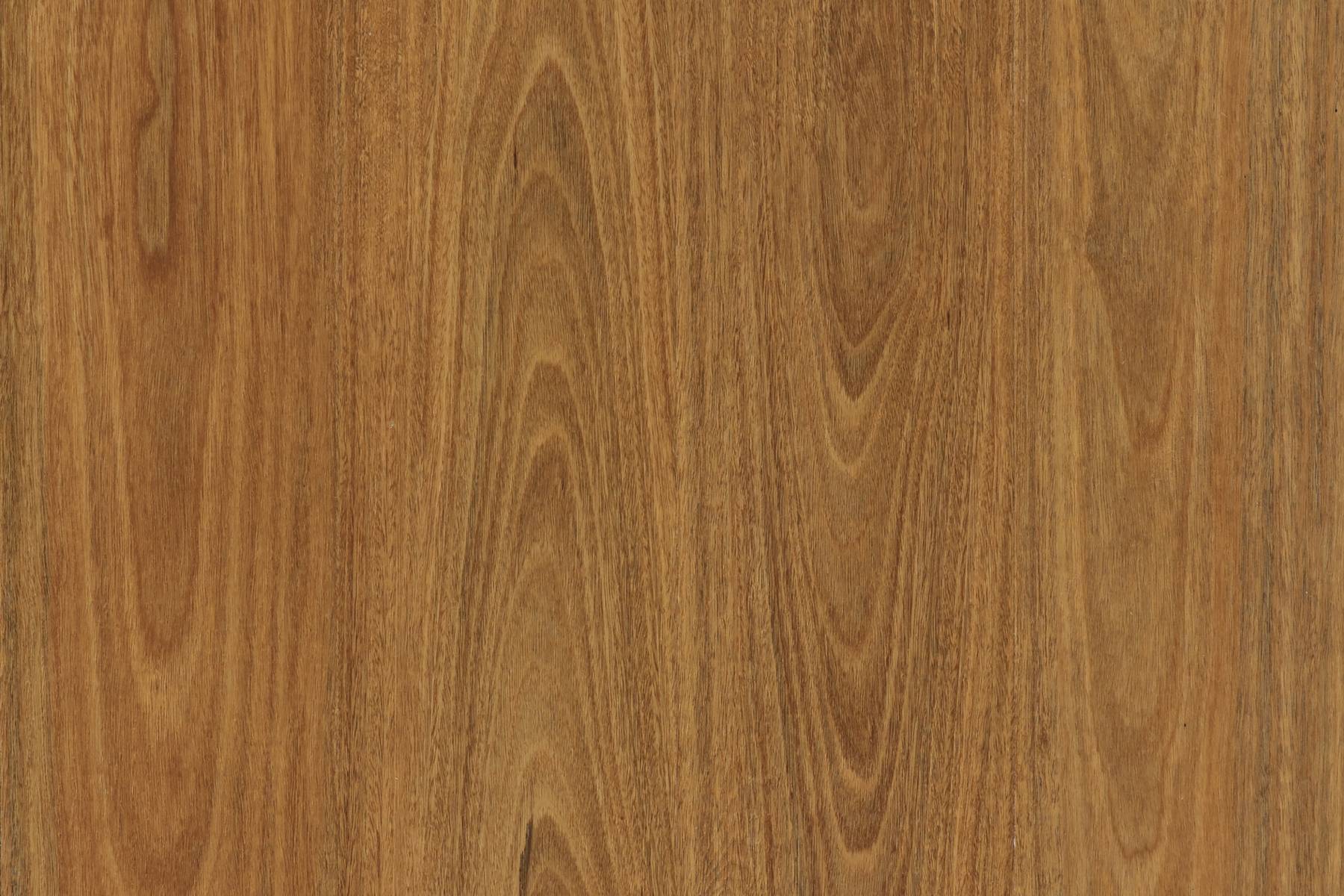Genero MultiLay Wide Board - Bega Spotted Gum