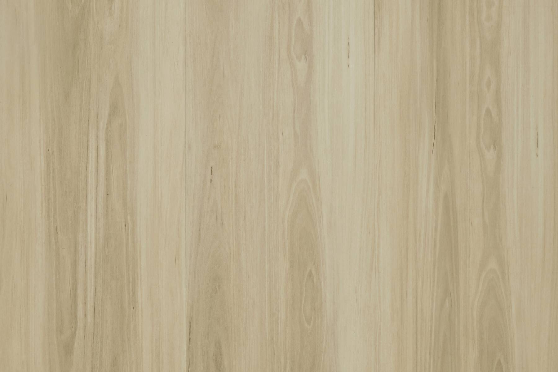 Purity - Burgandy Blackbutt