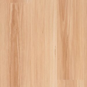 Genero Glades - Chiku Blackbutt
